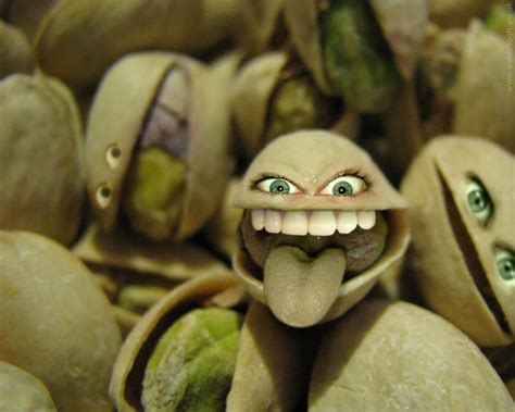 Pistachio | Pistachio, Bizarre art, Celebrities