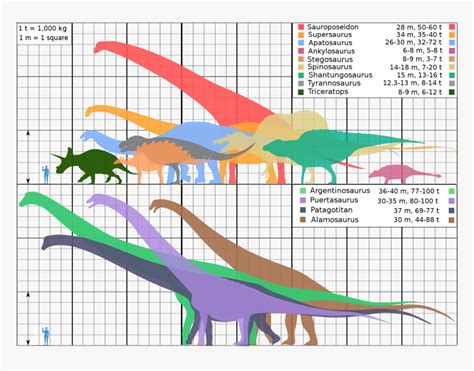 Dinosaur Size Comparison Biggest, HD Png Download , Transparent Png Image - PNGitem