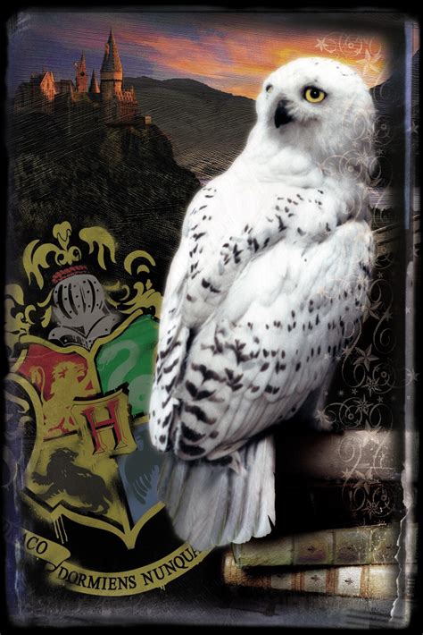 Harry Potter Book Art Hedwig