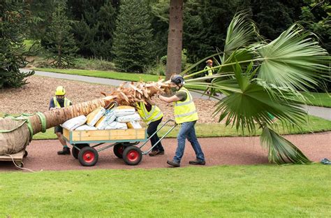 Meet the teams who are saving the Glasshouses | Royal Botanic Garden ...