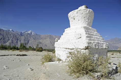 Nubra Valley (6) | Nubra Valley | Pictures | India in Global-Geography