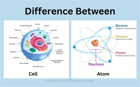 Between Cell and Atom - best 5 difference