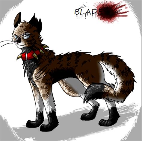 Blade (Warrior cats BloodClan OC) by CapriciousCrow on DeviantArt