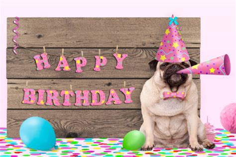 Pug Birthday Card | ubicaciondepersonas.cdmx.gob.mx