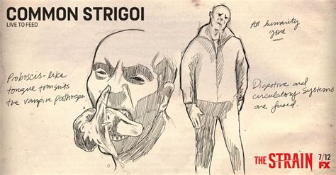 Vampire (Strigoi) | The Strain Wiki | Fandom