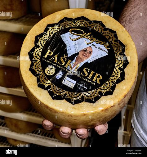 Croatia, Pag Island, paski sir typical cheese Stock Photo - Alamy