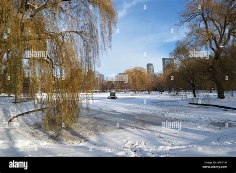 The Boston Common Park in Winter, Boston MA Stock Photo - Alamy