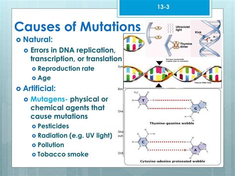 Causes of dna mutation