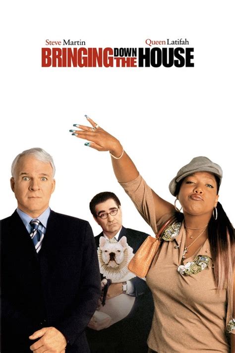 Bringing Down the House (2003)