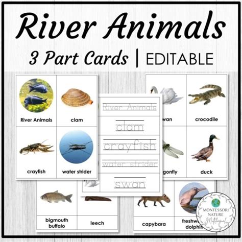 River Animals Vocabulary 3 Part Cards - Montessori Nature Printables