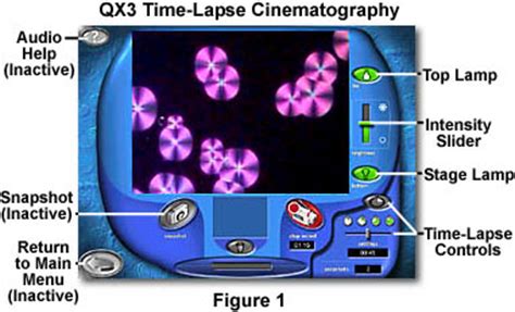 Molecular Expressions: Science, Optics and You - Intel Play QX3 Computer Microscope ...