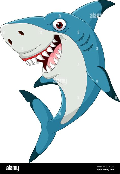 Cartoon funny shark isolated on white background Stock Vector Image & Art - Alamy