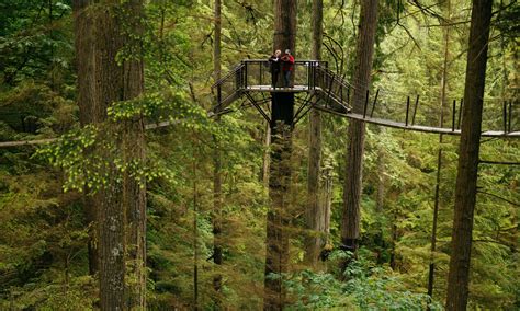 Treetops Adventure | Capilano Suspension Bridge Park