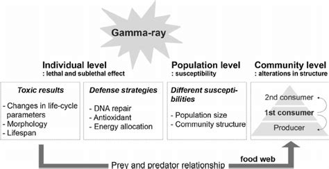 Gamma radiation effects on different organization levels in aquatic ...