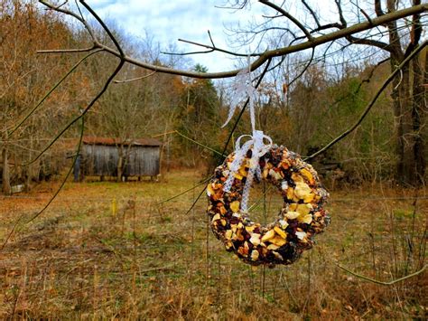 Easy DIY Bird Seed Wreath - Aunt Bee's Recipes