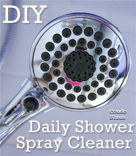 Condo Blues: DIY Daily Shower Cleaner