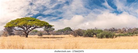 509,182 African Landscape Images, Stock Photos, 3D objects, & Vectors | Shutterstock