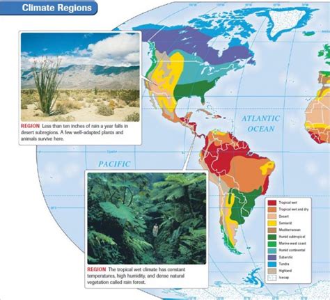 World Climate Regions Map - Draw A Topographic Map