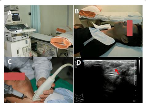 (A) The setting of the head and neck ultrasound at the Department of ...