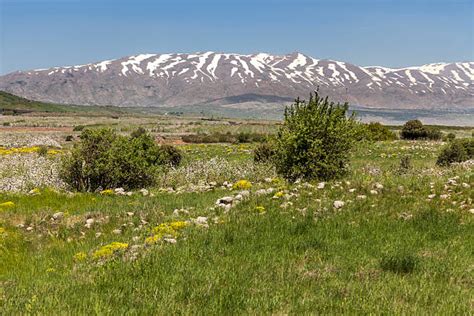 250+ Mount Hermon Israel Landscape Mountain Stock Photos, Pictures ...