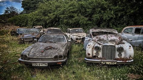 Inside abandoned classic car graveyard where Jaguars and Austins have ...