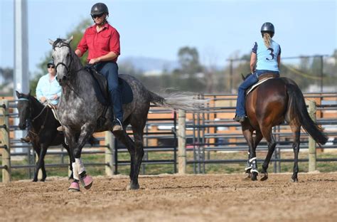 Australian Stock Horse Society set to host annual national show at Tamworth's AELEC | The ...