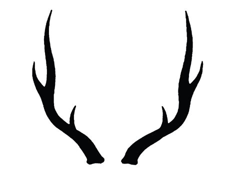 Identifying Timor or rusa deer (Cervus timorensis) - PestSmart