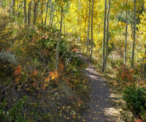 Blissful Fall Hikes in Colorado! - Crazy About Colorado