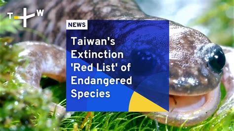 Taiwan's Extinction 'Red List' of Endangered Species | TaiwanPlus News ...