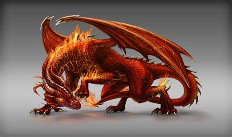 Image - Fire dragon game npc design by fallfox-d7ic753.jpg | Animal Jam Clans Wiki | FANDOM ...