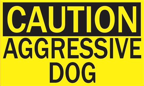 5in x 3in Caution Aggressive Dog Magnet Magnetic Caution Sign Magnets ...