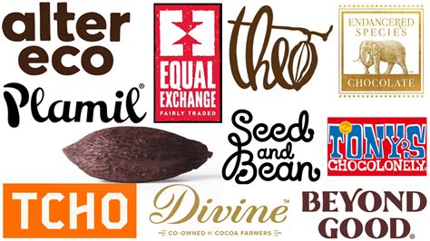 Top 10 Ethical Chocolate Brands – The Green Stars Project