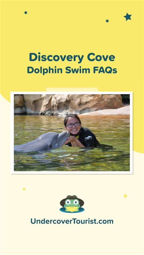 Tad's Rad Discovery Cove Dolphin Swim Experience & FAQ