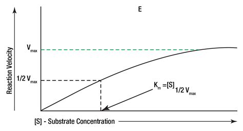 Enzyme Substrate Complex Equation