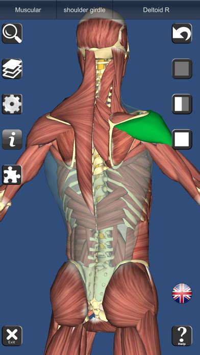 3D Anatomy Learning » MedicinApps