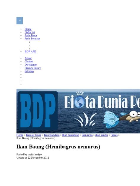 Ikan Baung | PDF