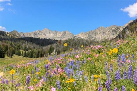 7 of the Most Epic Big Sky Hiking Trails | Chasing Trail