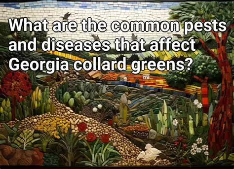 What are the common pests and diseases that affect Georgia collard ...