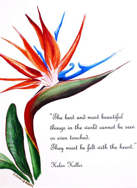 Bird Of Paradise Poem Painting by Karin Dawn Kelshall- Best | Pixels