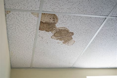 Water Spots On Ceiling But No Leak | Shelly Lighting