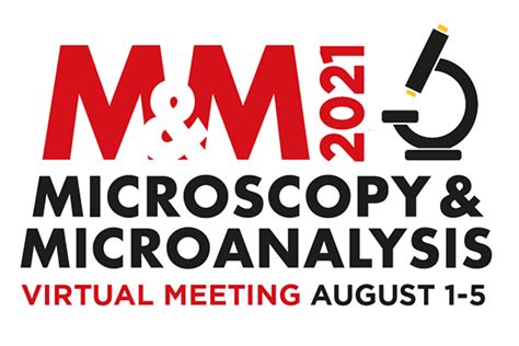 Microscopy & Microanalysis 2021 - Digital Surf