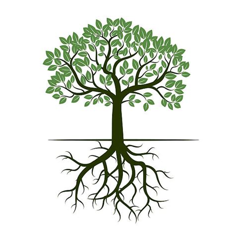 tree and roots vector - Clip Art Library