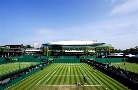 Wimbledon Draw 2024 Analysis and Potential Matchups - Pundit Feed