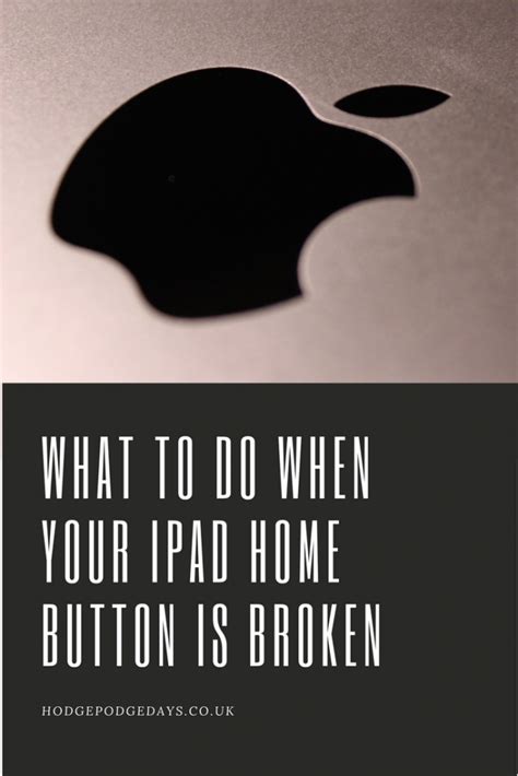 What to do when your ipad home button is broken - HodgePodgeDays