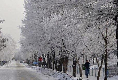 Plymouth Weather: Another 3-6 Inches of Snow | Plymouth, MA Patch