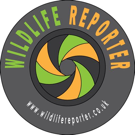 Wildlife Reporter