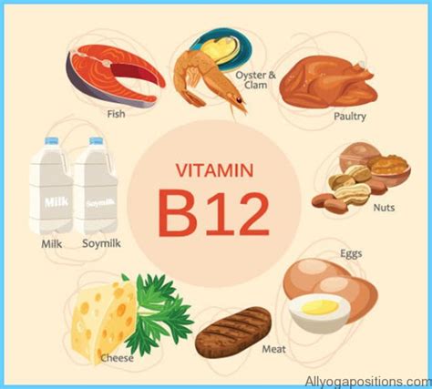 B12 in Foods VITAMIN B12 - AllYogaPositions.com