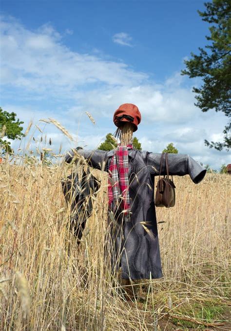 Poland.Scarecrow on the Wheat Field.Vertical View Stock Image - Image of shirt, season: 57456575