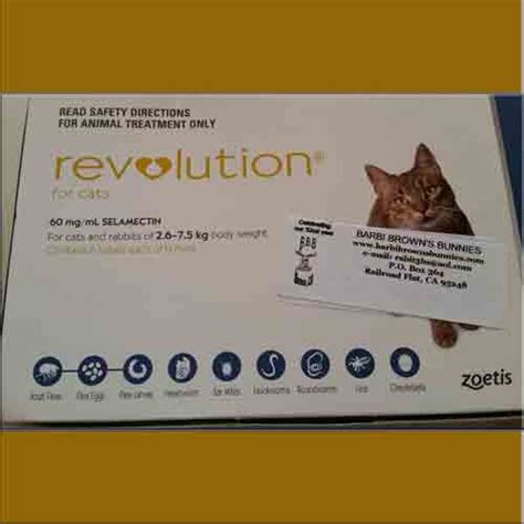 Revolution flea treatment for cats and rabbits - Single dose