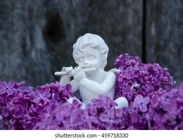 Closeup Stoned Angel Cemetery Stock Photo 756263455 | Shutterstock